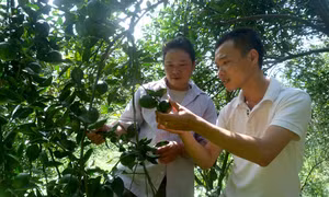 Bạn đồng hành tin cậy của hộ nghèo