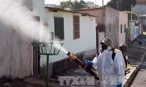 WHO cảnh báo cuộc chiến chống virus Zika sẽ kéo dài 