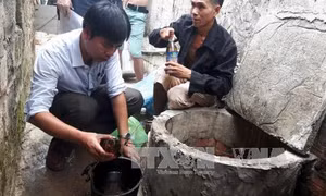 Tin "11 giếng nước ở Quảng Ninh bốc cháy" không đúng sự thật