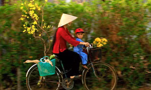 Mỗi lần Tết đến