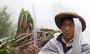 Tháng 2, Bắc Bộ có thể đón 2 đợt rét đậm