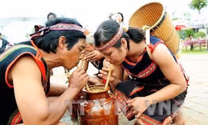 Say nồng Tây Nguyên 