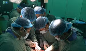 TP Hồ Chí Minh