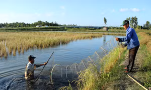 Nâng chất cho hàng hóa nông sản - Bài 1: Nền tảng từ nông sản sạch
