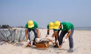 Làm sạch biển – ý thức và hành động