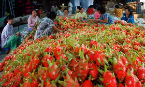 Những nông dân đưa nông sản Việt vươn xa 