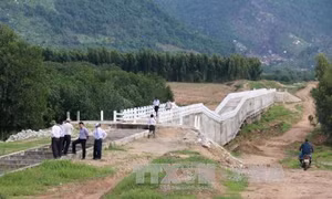 PTT Trương Hòa Bình chủ trì họp về khiếu nại kéo dài