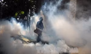 Singapore phát hiện thêm 9 ca nhiễm virus Zika