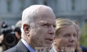 TNS John McCain từ chối làm cố vấn cho Ukraine 