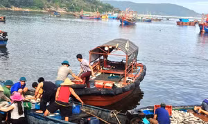 Kiểm tra, giám sát môi trường tại Khu kinh tế Nghi Sơn 
