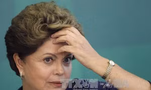 Chính trường Brazil tiếp tục rung chuyển vì vụ Petrobras