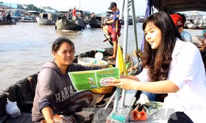 Khẩn trương triển khai phương án phòng, chống dịch bệnh do vi rút Zika 