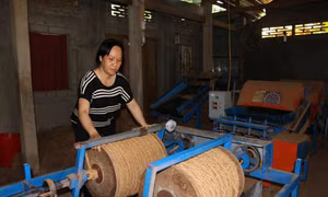 Giảm gánh nặng thuế cho doanh nghiệp nhỏ