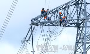 Tháng 9 điện sẽ về với nhiều xã đảo