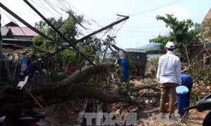 Mưa lốc kéo sập chốt bảo vệ, nhân viên tuần rừng thiệt mạng