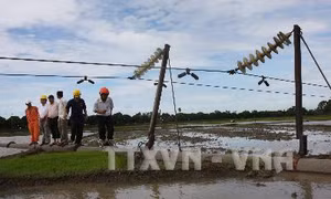 Chạm phải cáp hở, công nhân điện bị giật chết
