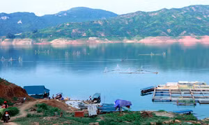  “Nội lực” kết hợp “ngoại lực” để giảm nghèo bền vững