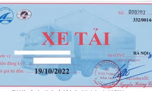 Thành phố Hồ Chí Minh 'quá tải' cấp phù hiệu xe tải dưới 3,5 tấn