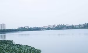 Sở Xây dựng Hà Nội đổ lỗi "khách quan" vụ “bức tử” Đầm Hồng