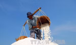 Mua tạm trữ muối để diêm dân bớt gánh nặng