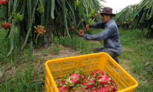 http://media.baotintuc.vn/2016/11/16/18/30/anh-bia.JPG