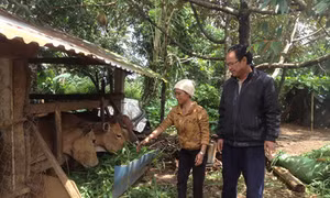 Nhiệt tình với công tác xã hội
