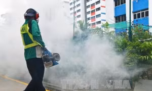 Chủ động phòng chống dịch virus Zika, sốt xuất huyết
