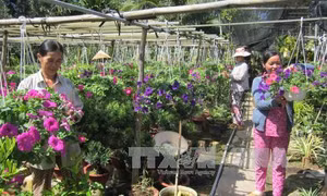Đồng bằng sông Cửu Long liên kết phát triển du lịch