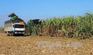 Phân bổ kinh phí đo đạc, cấp giấy chứng nhận quyền sử dụng đất