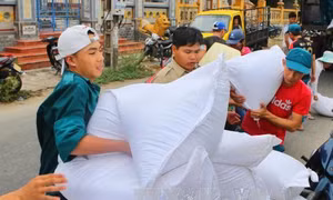 Thủ tướng Chính phủ quyết định xuất cấp gạo hỗ trợ nhân dân vùng lũ