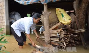 Mưa lũ gây nhiều thiệt hại tại tỉnh Sơn La 