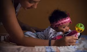 WHO xác nhận 2.765 người nhiễm virus Zika tại châu Mỹ