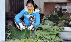 Làng nghề bánh chưng rộn ràng đón Tết