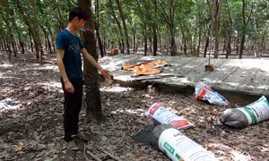 Trại nuôi lợn gây ô nhiễm giữa khu dân cư 