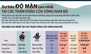 Dự báo độ mặn cao nhất tại vùng cửa sông Nam Bộ