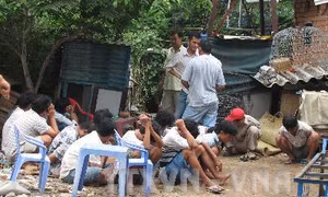 Triệt phá sới bạc "đá gà" ăn tiền tại Hải Dương