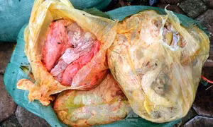 Chặn 600 kg nội tạng phân hủy tìm đường vào nhà hàng