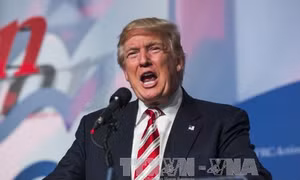 Ông Trump tiếp tục bị tố sai phạm tài chính