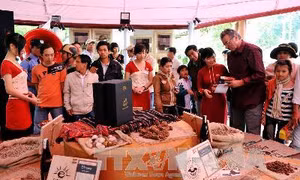 Xây dựng thương hiệu cho ngành công nghiệp thực phẩm - Bài 2