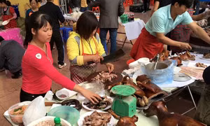 Sẽ xây dựng lộ trình vận động người dân bỏ thói quen ăn thịt chó