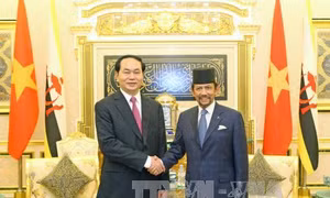 Tuyên bố chung Việt Nam - Brunei Darussalam 