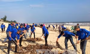Dự báo tổn thương để phát triển bền vững môi trường ven biển 