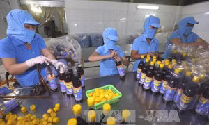 Nước mắm truyền thống có nguy cơ thiệt hại lớn trước cơn bão “arsen”