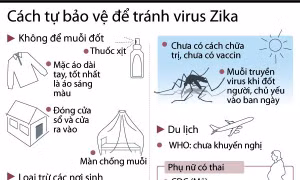 Những cách tự bảo vệ gia đình khỏi virus Zika