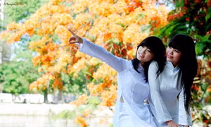 Nhớ những mùa thi