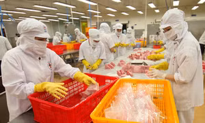 Giải quyết đến cùng khó khăn của doanh nghiệp