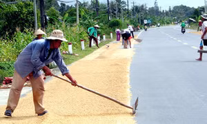 Xử phạt việc chiếm quốc lộ làm sân phơi