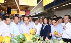 TPHCM cần mở rộng liên kết để hình thành chuỗi cung cấp thực phẩm sạch