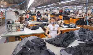 Khí thế hào hứng sản xuất đầu năm