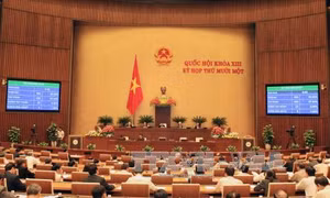 Đề cử các vị trí Phó Thủ tướng, Bộ trưởng và trưởng ngành
